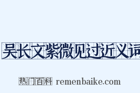 吴长文紫微见过近义词是什么意思的图片